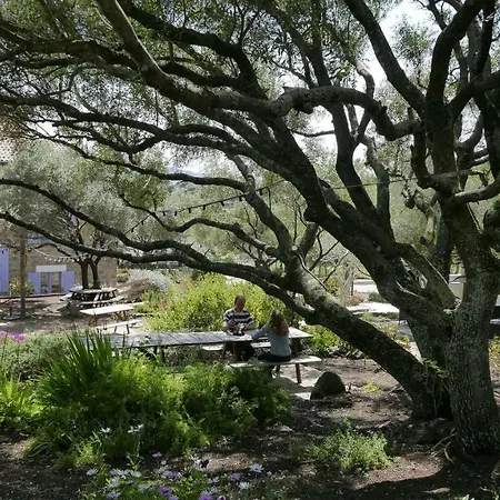 Les Figuiers Apartment Porto Pollo