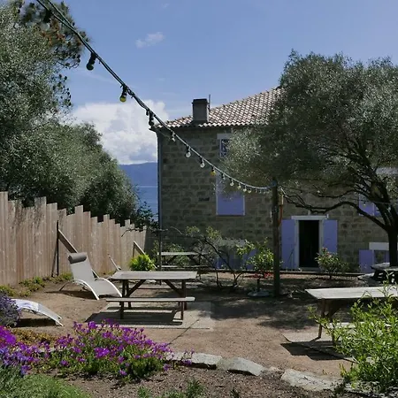 Les Figuiers דירה *