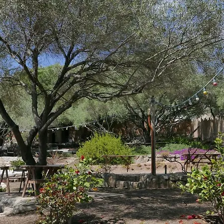 Les Figuiers Apartment Porto Pollo