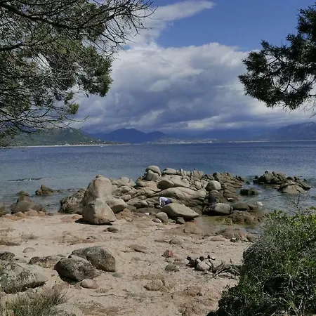 Les Figuiers דירה