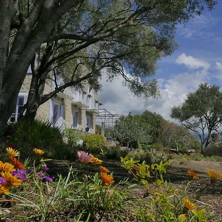 Les Figuiers Apartment *