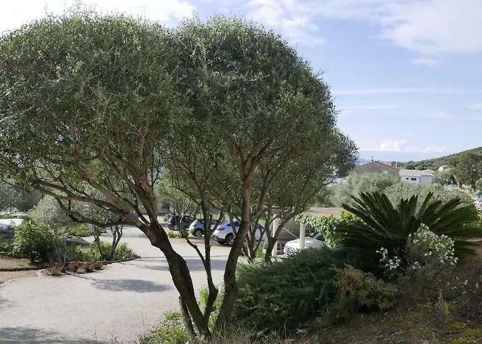 Appartement Les Figuiers