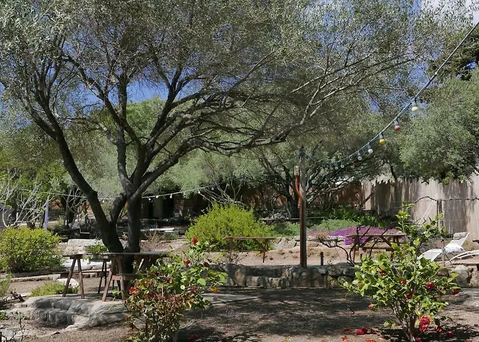 Les Figuiers Appartement Porto-Pollo