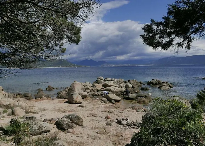 Les Figuiers Appartement