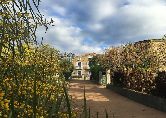 Les Figuiers Appartement Porto-Pollo